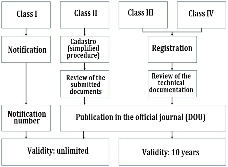 authorization procedures in brazil