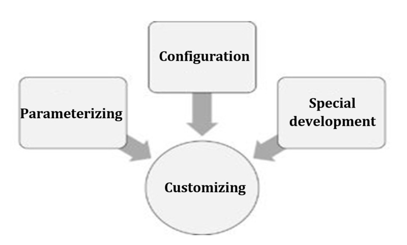 customization parameterization configuration