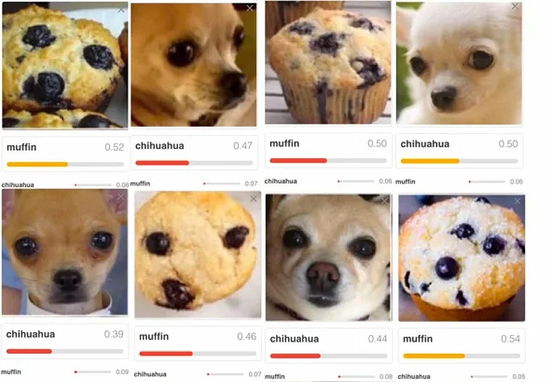 different pictures of chihuahua and muffins and an indicator how sure the programm is