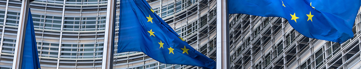 EU flags in front of a tall, modern building