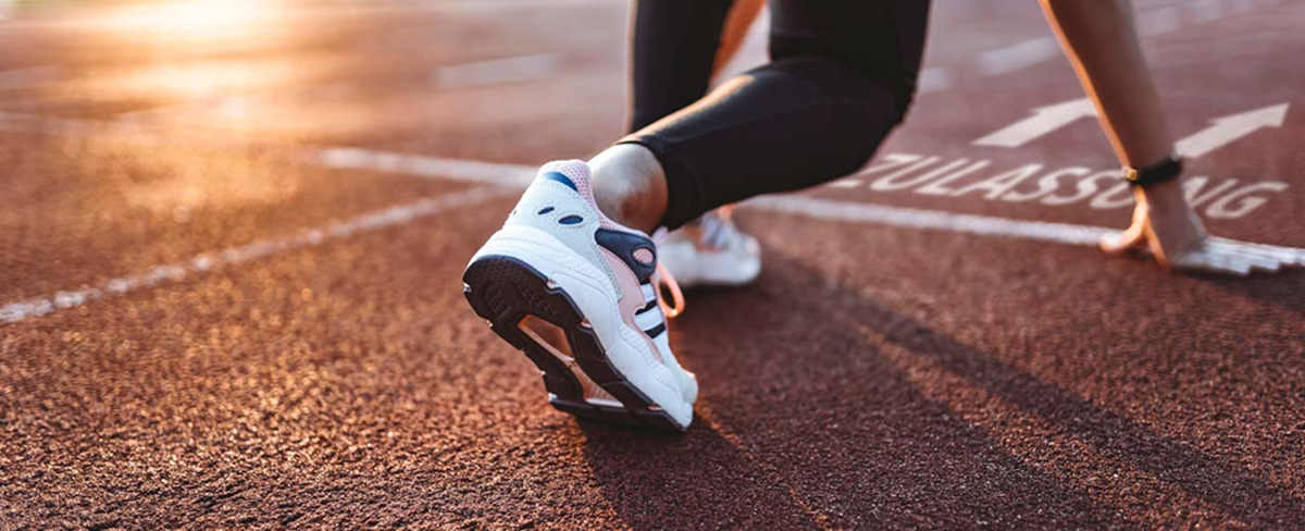 Get a head start into the world of regulations with out starter kit.