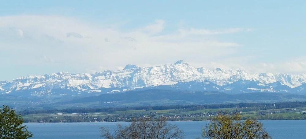 lake constance johner institute location